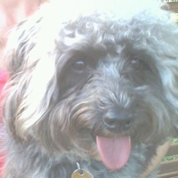 Meet your Posher, Joellen - Picture 1 of 1